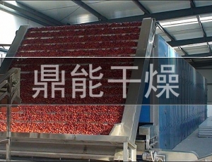 北京五谷道場(chǎng)食品開(kāi)發(fā)有限公司 烘干物料：素食面包